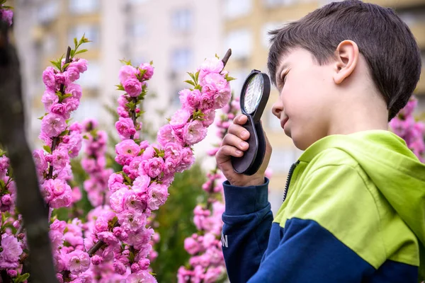 Niño Mirando Flor Través Lupa Encantador Colegial Explorando Naturaleza Niño — Foto de Stock