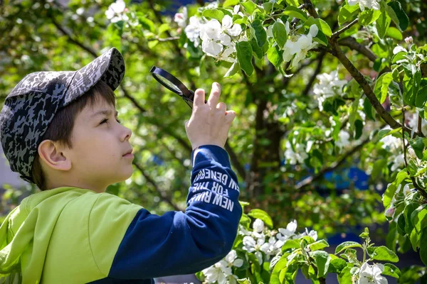 Boy Portrait City Outdoor Blooming Trees Spring Season Flowering Time — Foto de Stock