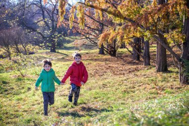 Two boys are running in the autumn forest. Two sibling brother boys are best friends spend time together on nature. Rest outdoors and friendship concept.