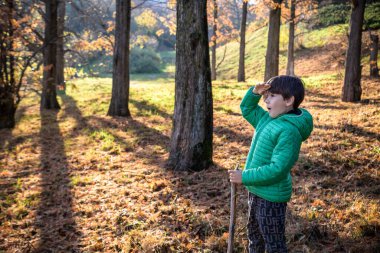 The boy was lost in the forest looking for a way home, the child was left alone in an unfamiliar place, summer holidays in nature, holding a stick in his hand, walking on the grass.