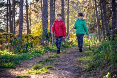 Two boys are running in the autumn forest. Two sibling brother boys are best friends spend time together on nature. Rest outdoors and friendship concept.
