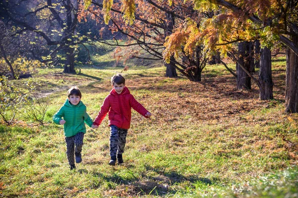 Two Boys Running Autumn Forest Two Sibling Brother Boys Best — Stockfoto