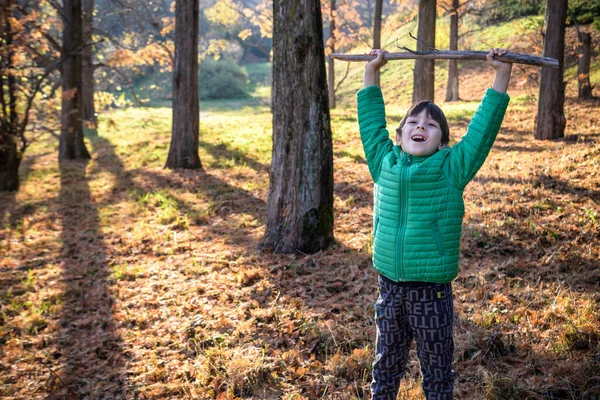 The boy was lost in the forest looking for a way home, the child was left alone in an unfamiliar place, summer holidays in nature, holding a stick in his hand, walking on the grass.