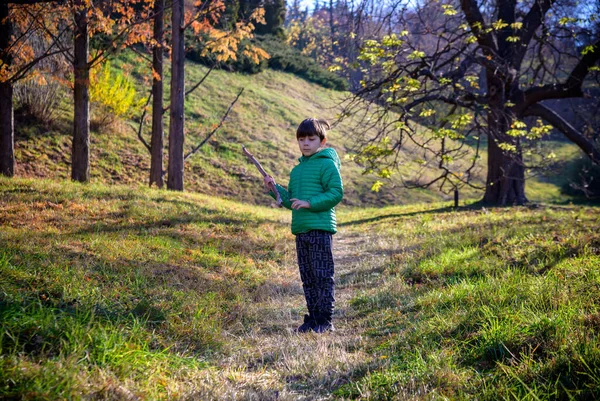 The boy was lost in the forest looking for a way home, the child was left alone in an unfamiliar place, summer holidays in nature, holding a stick in his hand, walking on the grass.