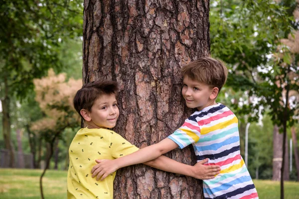 İki küçük çocuk bir ağaç gövdesine sarılıyor - çocuklar doğayı seviyor, sürdürülebilirlik kavramını. Doğayı kurtar..