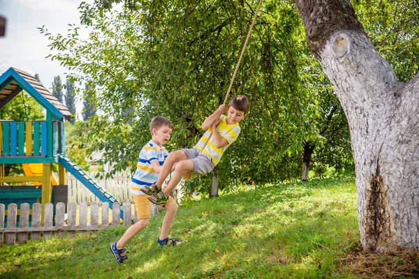 Two Adorable Happy Little Boys Having Fun Rope Swing Which — Stock Photo, Image