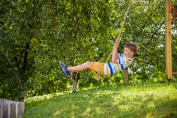 Two Adorable Happy Little Boys Having Fun Rope Swing Which — Stock Photo, Image