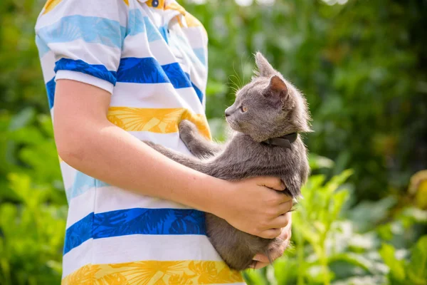 Boy hugging a cat with lots of love. Close up portrait of kitten on hands. Playing with a cat on village countryside.