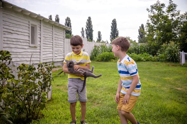 Boys Hugging Cat Lots Love Portrait Two Brothers Kids Holding — Stock Photo, Image