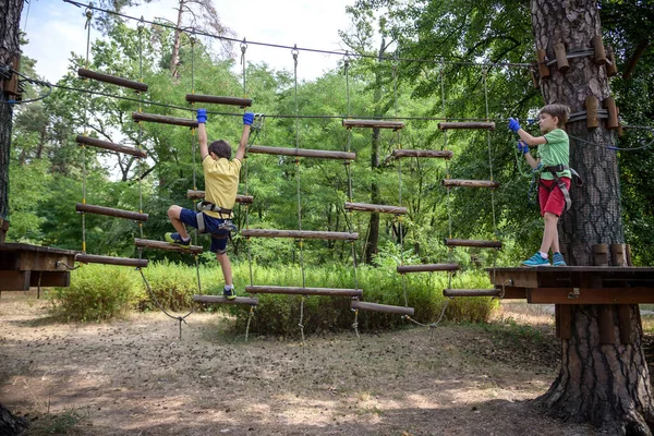 Два Сильных Возбужденных Молодых Друга Играют Свежем Воздухе Веревочном Парке — стоковое фото