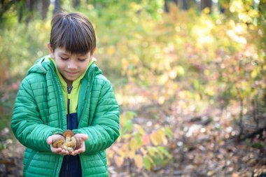 Elinde taze mantar tutan yeşil paltolu mutlu çocuk portresi. Çocuk konseptiyle sonbahar keyfi.