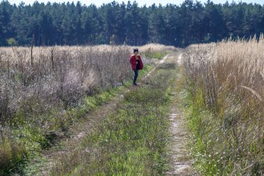 Genç bir çocuk tarlada oynuyor. Çocuk, elleri farklı yönlerde sahada koşuyor. Çocuklar eğlenceli oyunlar. Çocuk konseptiyle doğa eğlencesi.
