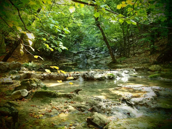 Autumn Canyon Fallen Leaves Water — Stock Photo, Image