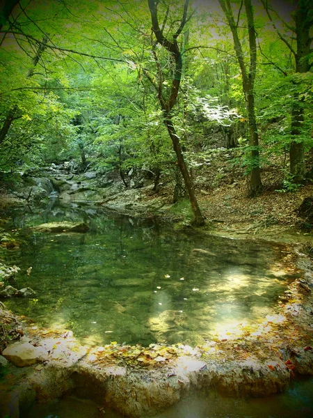 Sonbahar kanyonu. Suya düşen yapraklar 