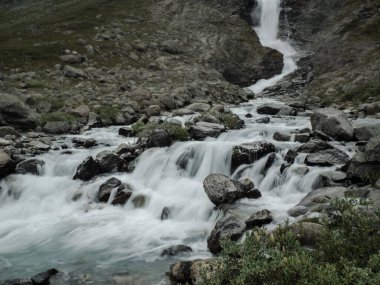 Dağ şelalesi. Şelale. Akan su. Sudaki taşlar 