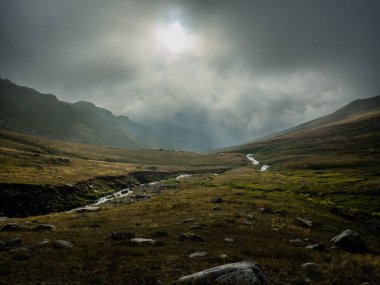 Dağ zirvesi. Dağ manzarası. Dağlarda ilkbahar. Dağ vadisi. Dağ bulutları. Sabah sisi