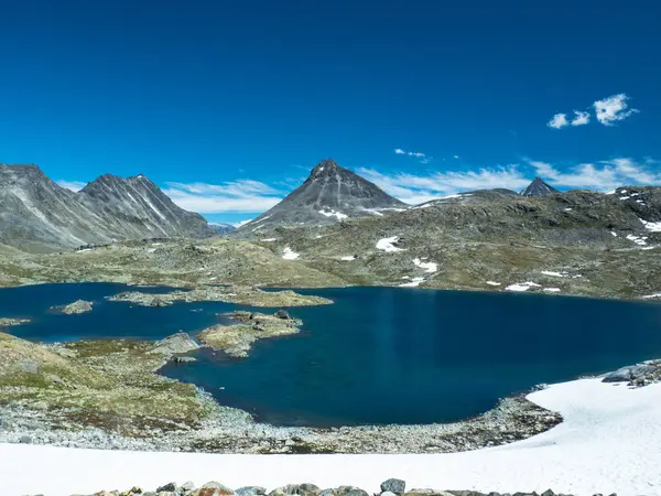 Κορυφή Βουνού Ορεινό Τοπίο Καλοκαίρι Στα Βουνά Ορεινό Ποτάμι Στην — Φωτογραφία Αρχείου
