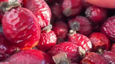 Rose Kalça Görüntüsü Sağlık İçin Güllük Böğürtlen Çayı Kırmızı Çerçevede