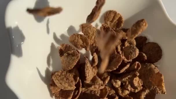 Flocos escuros imagens flocos marrons de trigo duro são derramados em uma placa — Vídeo de Stock