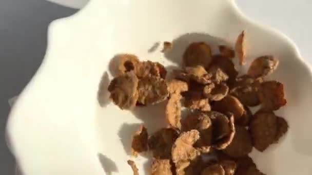 Flocos escuros imagens flocos marrons de trigo duro são derramados em uma placa — Vídeo de Stock