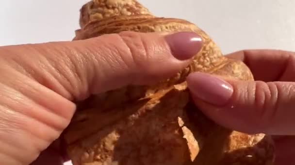 Rotura de croissant romper lagrimeo primer plano sobre fondo blanco — Vídeo de stock