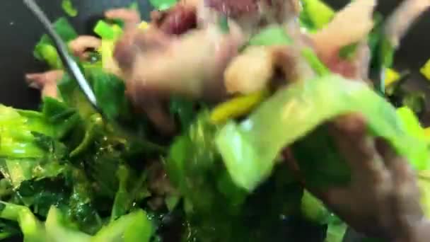 Cozinha asiática salada quente vietnamita são todo o processo de cozimento exato de fatiar a fritar aipo alho-porro ou carne bovina e coentro é muito saboroso tudo isso corta com um gole de faca e interferir com — Vídeo de Stock