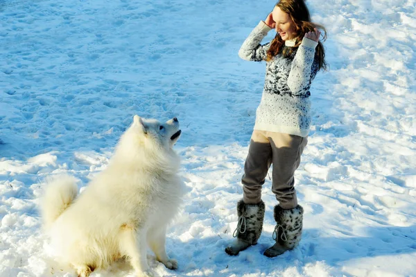 Adolescent fille joue avec un chien de la race Samoyed chien moelleux blanc neige et grand elle joue à l'extérieur dans la neige câlins et avoir amusant fille belle et jeune elle est brune — Photo