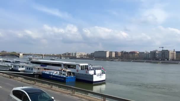 Río Danubio con un barco en la noche vuela una gran cantidad de cuervos y palomas en el puente de distancia en la noche muy hermoso todo en azul 03.04.22 Danubio Hungría — Vídeos de Stock