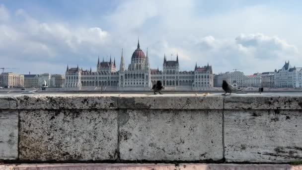 Bâtiment du Parlement hongrois à Budapest photographie nocturne de murs lumineux jaunes et ciel bleu foncé près du Danube 03.04.22 Budapest, Hongrie — Video
