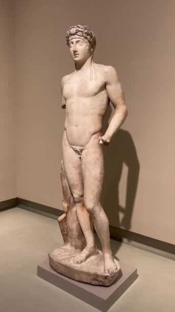Socha Andrassiho Apollóna v Muzeu výtvarných umění nahý trup muže 05.04.22 Budapešť Maďarsko — Stock video