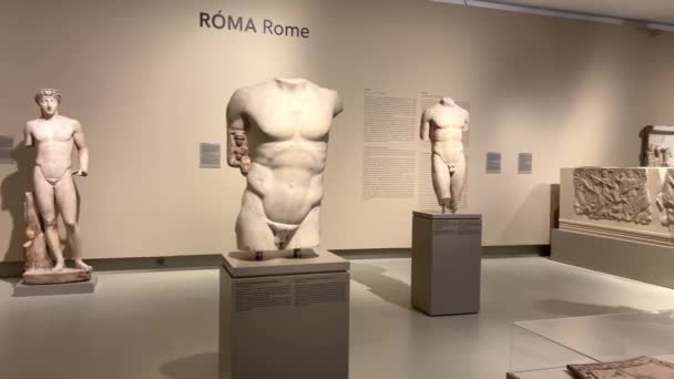 Estátua de Andrassi Apollo no Museu de Belas Artes torso nu de um homem 05.04.22 Budapest Hungria — Vídeo de Stock