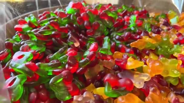 Různé sladkosti na pultu jsou rozloženy všechny barvy duhy, stejně jako sliny teče z želé figurky těstoviny a čokolády. — Stock video