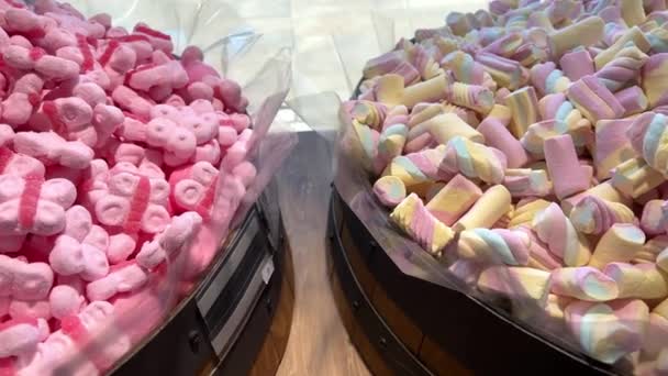 Diferentes dulces en el mostrador están dispuestos todos los colores del arco iris tanto como la saliva fluye desde figuras de gelatina a pasta y chocolate. — Vídeos de Stock