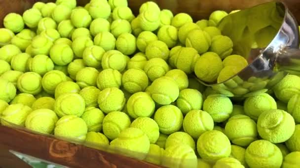 Bolas de tênis doces no balcão são dispostos todas as cores do arco-íris, tanto quanto a saliva flui de figuras de geleia para massas e chocolate. — Vídeo de Stock