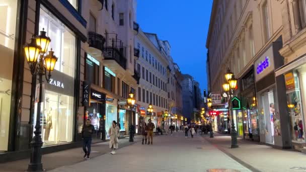 Μερικά βίντεο από τους κεντρικούς δρόμους της Βουδαπέστης καθημερινή ζωή των ανθρώπων αυτοκίνητα στο δρόμο και μεγάλα κτίρια 06.04.22 Βουδαπέστη Ουγγαρία — Αρχείο Βίντεο