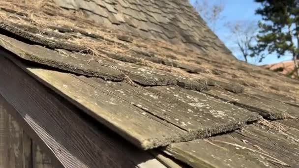 L'ancien toit de la maison avec grenier et corde maison de cow-boy en bois contre le ciel — Video