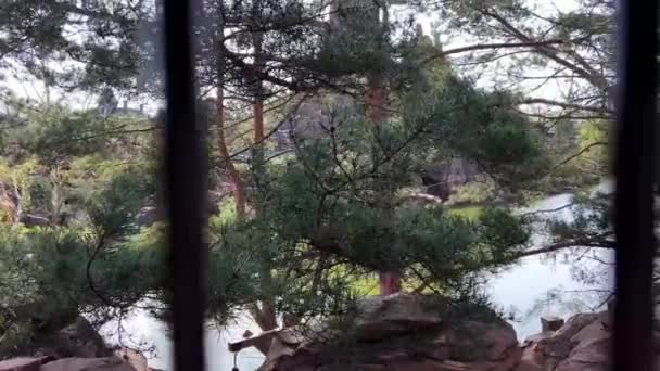 Skrz mříž můžete vidět přírodu Kamera se pohybuje a mříž bliká v rámu viditelných jehličnatých stromů — Stock video