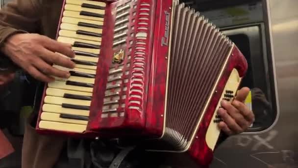 Un uomo nella metropolitana suona un primo piano di un akcardeon con la fisarmonica — Video Stock