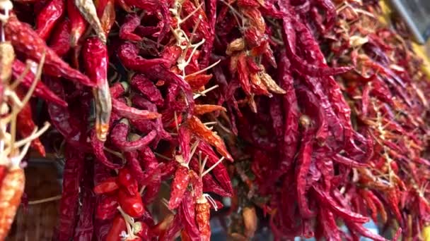 Red pepper hangs outside of a spice shop — Vídeos de Stock