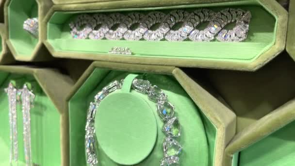 Swarovski juwelen in een winkel met euro prijskaartjes op verlichte planken 24.04.22 Parijs Frankrijk — Stockvideo