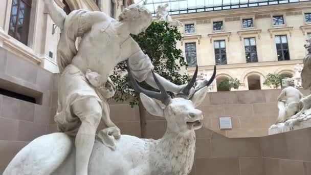 彫刻フランスニコラ・クストー・リヨン、 1658年パリ、 1733年ハンターは鹿を殺すシャトー・ド・マリー公園から出てくる — ストック動画