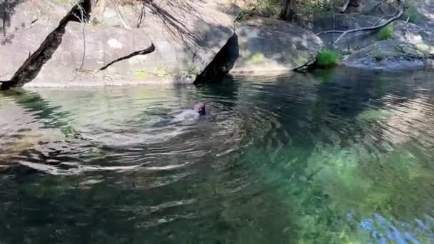 У Португалії в гірській річці після купання чоловік одягає чудову прозору воду, яка повністю віддзеркалює небо й дерева. — стокове відео