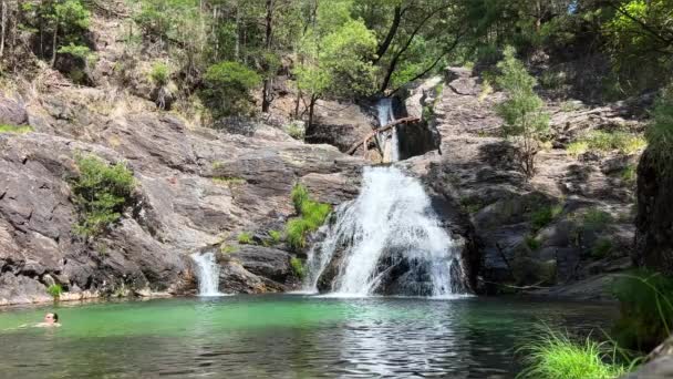在丛林中山湖的天堂，左边是瀑布，左边是一个人，他游遍了所有的绿树，还有一个透明的湖，美丽极了，就像冒险电影里的一样 — 图库视频影像