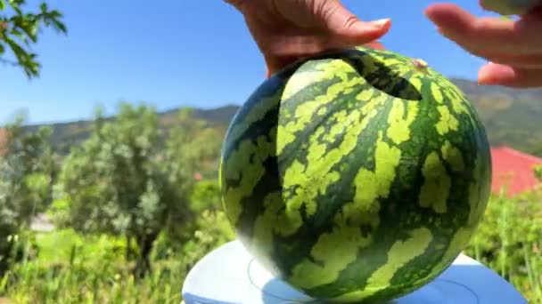 En kvinna förbereder sig för att skära en vattenmelon och rullar den framför ramen i bakgrunden berg träd himmel — Stockvideo