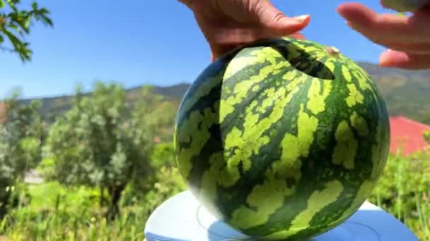 Egy nő arra készül, hogy felvágjon egy görögdinnyét, és a keret elé görgesse a háttérben lévő hegyekben az égen. — Stock videók