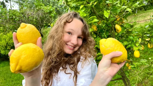 Дівчина-підліток стоїть біля лимонного дерева і радіє в лимоні, вона обнюхує їх, обіймає, оглядає — стокове фото