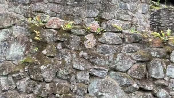 Castro de Sao Lourenco in Vila Cha Portugal the ruins of the old city restored some of the houses of the first century BC — Stock Video