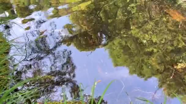 A vízesés az úgynevezett cascata do Pincho vagy cascata da ferida ma. Ez az Ankora folyón a mesés természet hasonló az árak egy film kalózok és az utazás — Stock videók