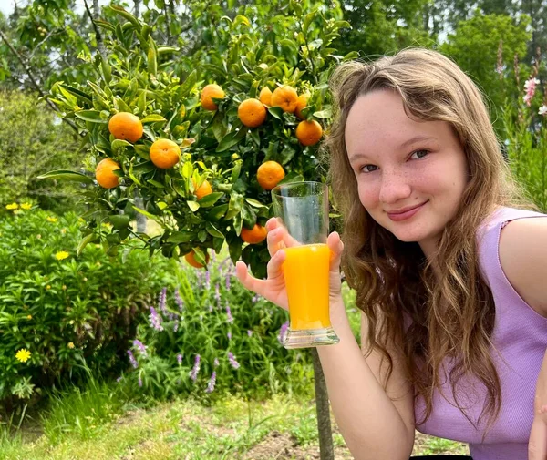 Девушка пьет апельсиновый сок на фоне танжеринового дерева, это может быть апельсиновый сок танжеринового манго, который она пьет жадно и очень любит сок вкусный везде зеленеет и лето — стоковое фото