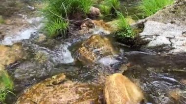 Şelalenin adı Cascata do Pincho veya cascata da ferida ma. Ankora Nehri 'nde muhteşem doğa korsanlar ve seyahatler hakkında bir filmin oranlarına benzer.